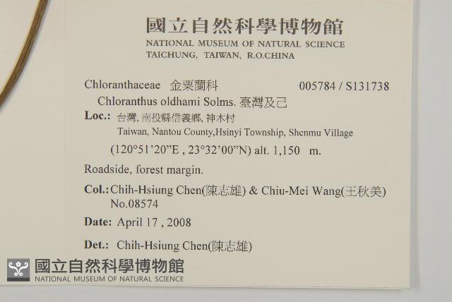 臺灣及己藏品圖，第2張