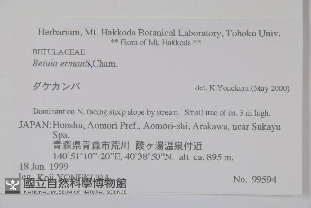 岳樺藏品圖，第2張