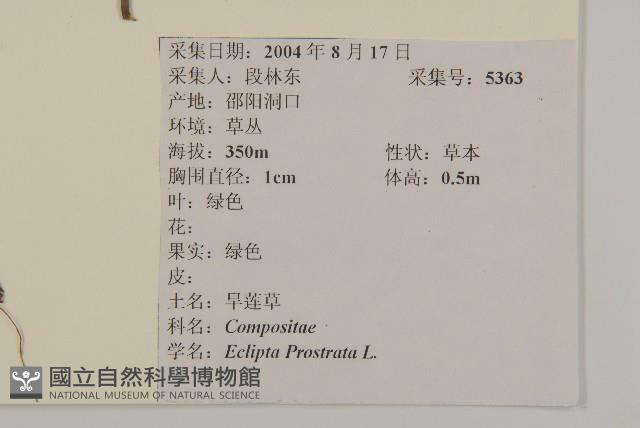 鱧腸藏品圖，第2張