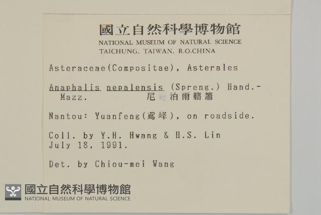 尼泊爾籟簫藏品圖，第2張