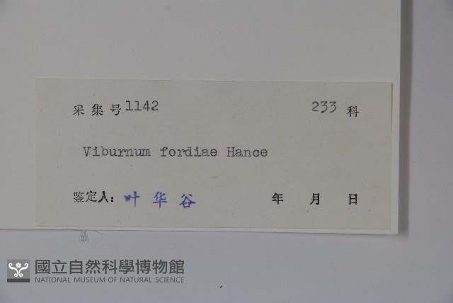 南方莢迷藏品圖，第2張