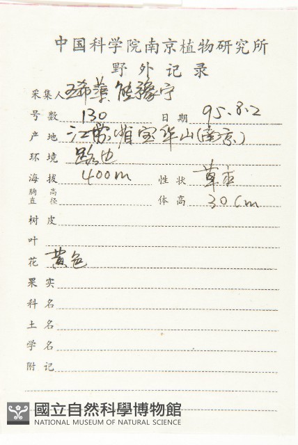 費菜藏品圖，第2張