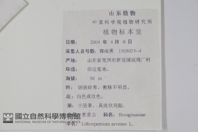 麥家公藏品圖，第2張