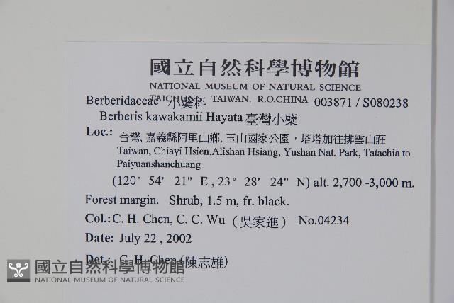 臺灣小蘗藏品圖，第2張