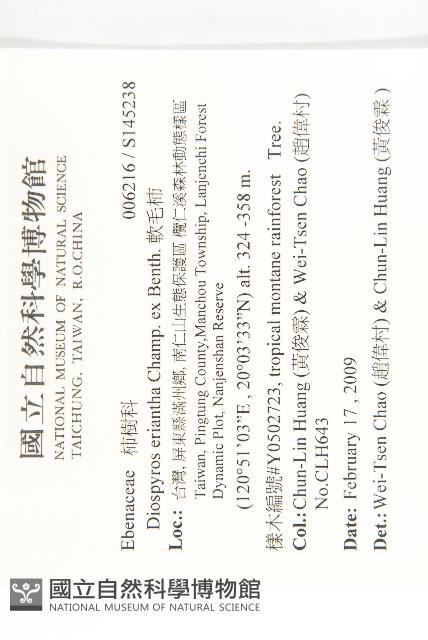 軟毛柿藏品圖，第2張