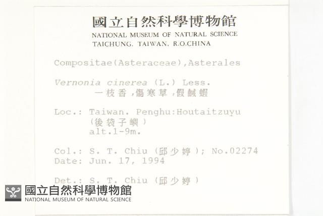 一枝香藏品圖，第2張