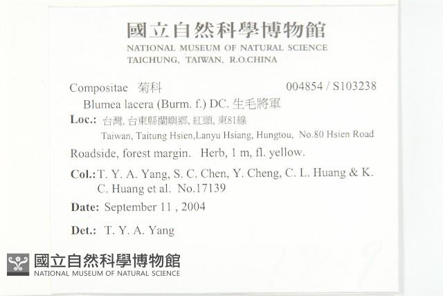 生毛將軍藏品圖，第2張