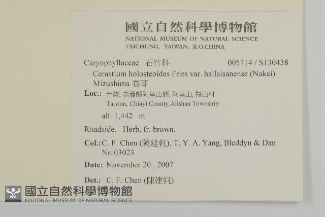 卷耳藏品圖，第2張