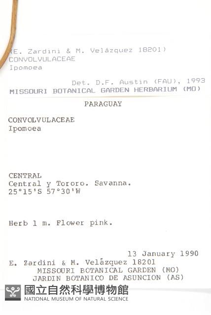 登錄號:S051438藏品圖，第2張