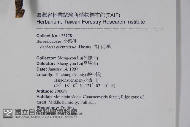 登錄號:S043438藏品圖，第2張