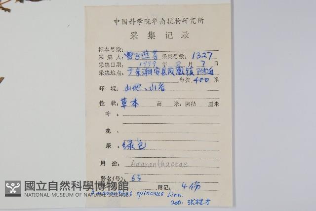 刺莧藏品圖，第2張