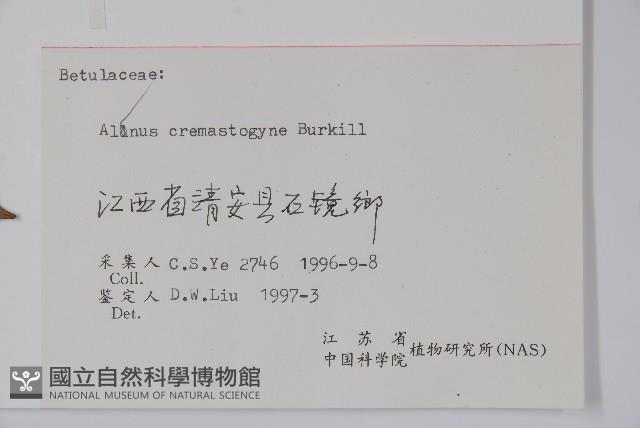 榿木藏品圖，第2張