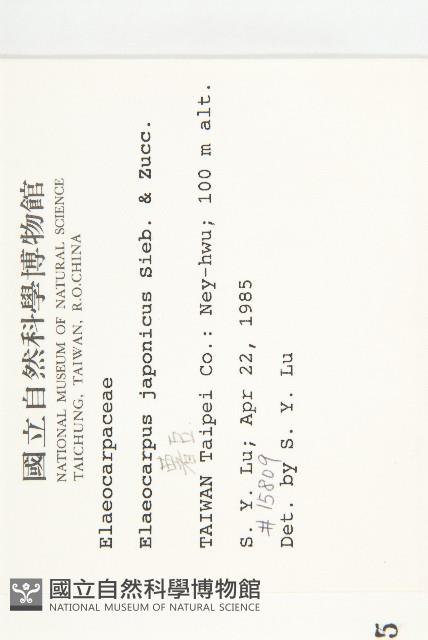 薯豆藏品圖，第2張