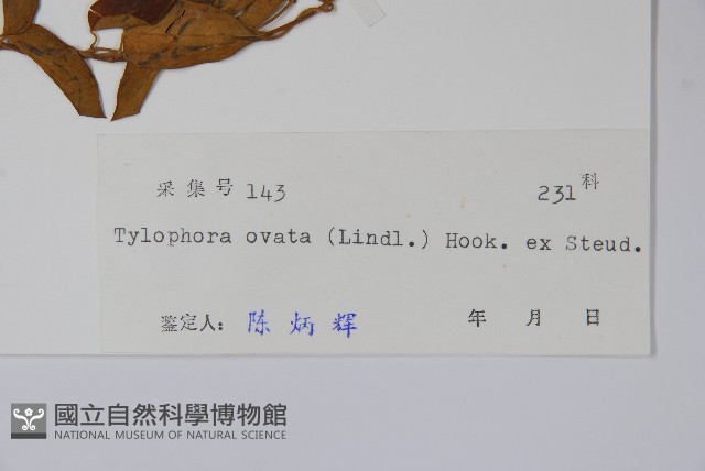 鷗蔓藏品圖，第2張