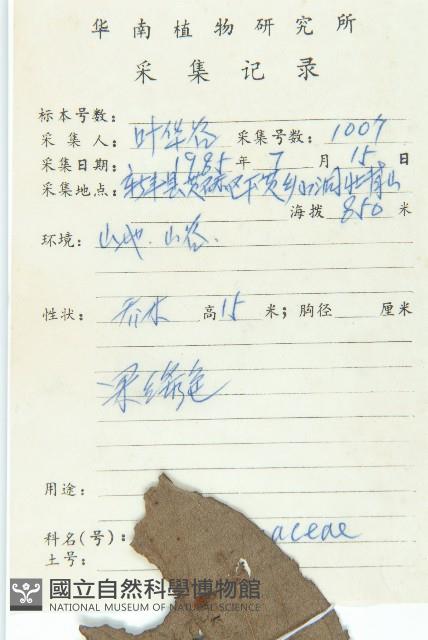 Date Plum Collection Image, Figure 2, Total 3 Figures