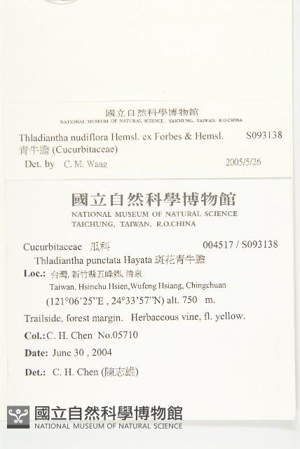 青牛膽藏品圖，第2張