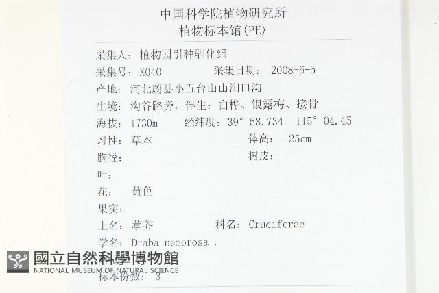 葶藶藏品圖，第2張