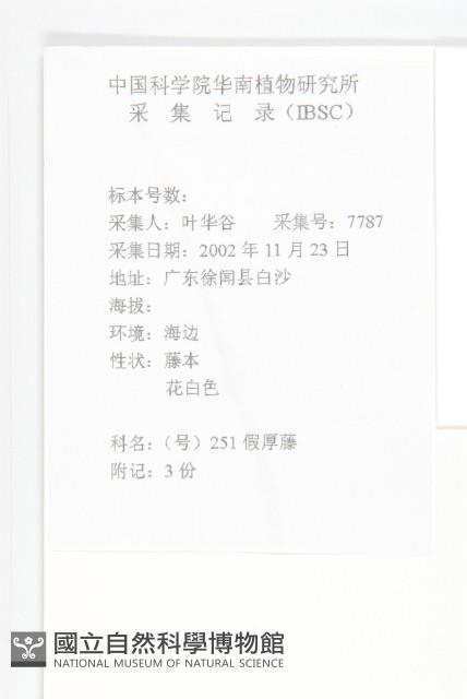 厚葉牽牛藏品圖，第2張