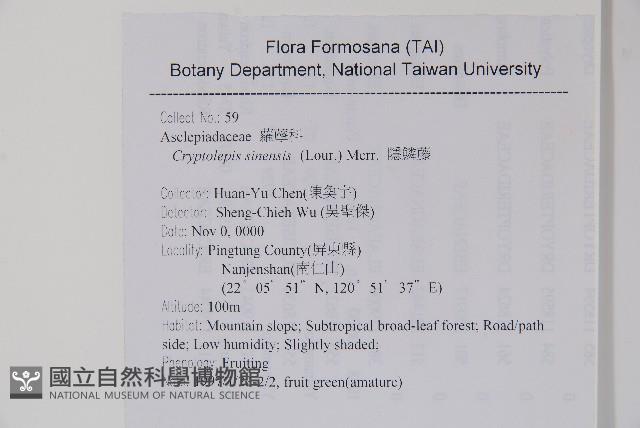 隱鱗藤藏品圖，第2張