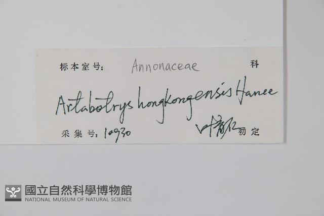 香港鷹爪花藏品圖，第2張