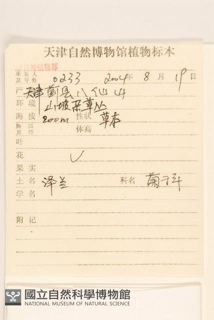 林氏澤蘭藏品圖，第2張