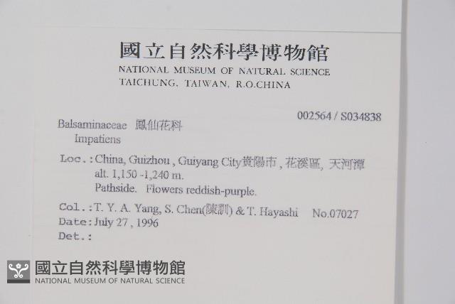 登錄號:S034838藏品圖，第2張