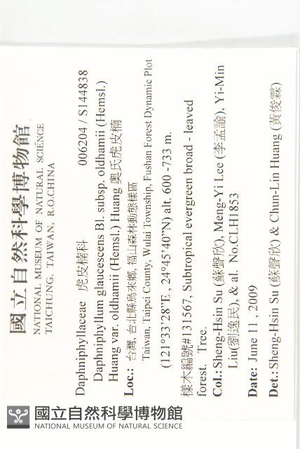 奧氏虎皮楠藏品圖，第2張