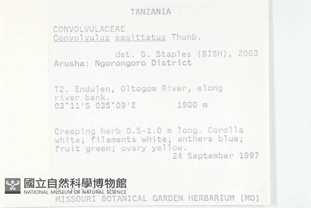 登錄號:S093838藏品圖，第2張