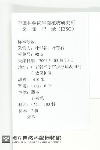 茅瓜藏品圖，第2張