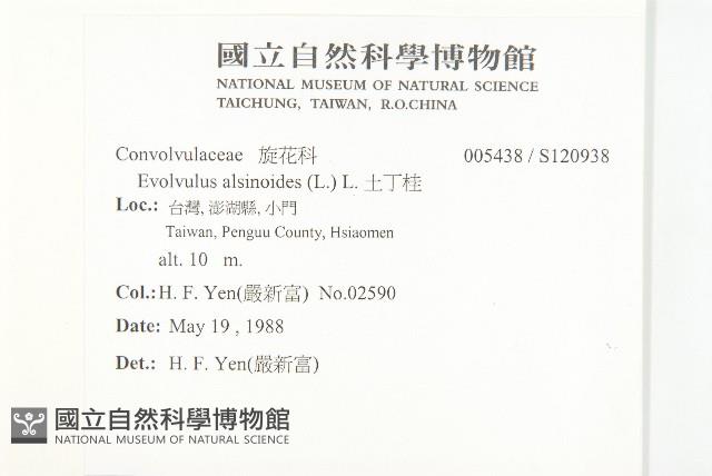 土丁桂藏品圖，第2張