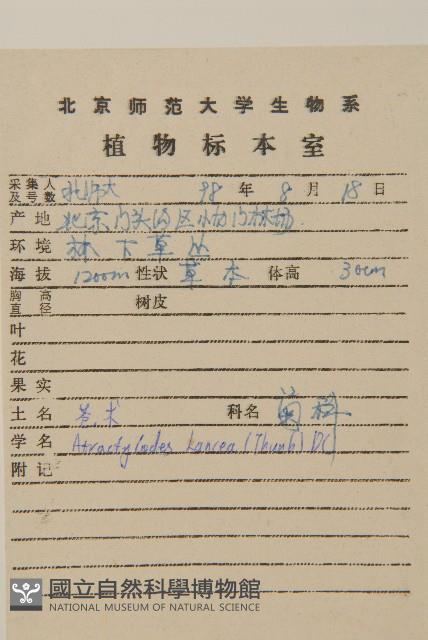 蒼朮、茅朮藏品圖，第2張