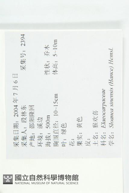 猴歡喜藏品圖，第2張