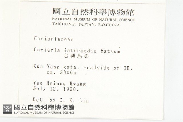 臺灣馬桑藏品圖，第2張