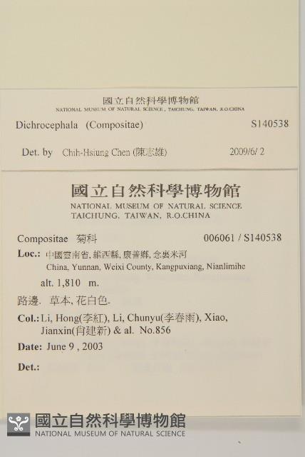 登錄號:S140538藏品圖，第2張