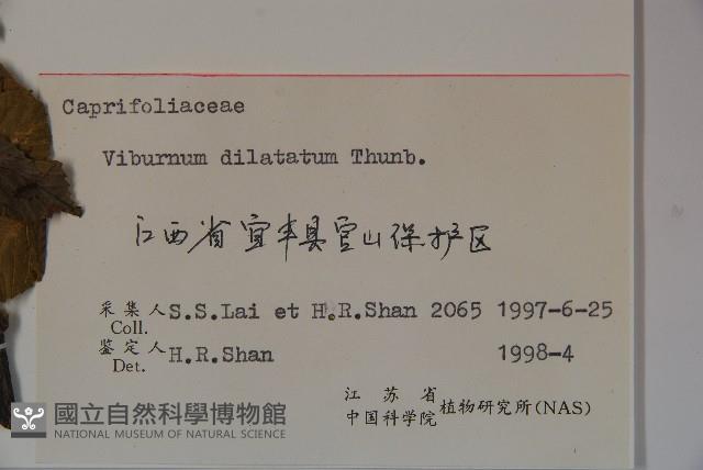 莢迷藏品圖，第2張