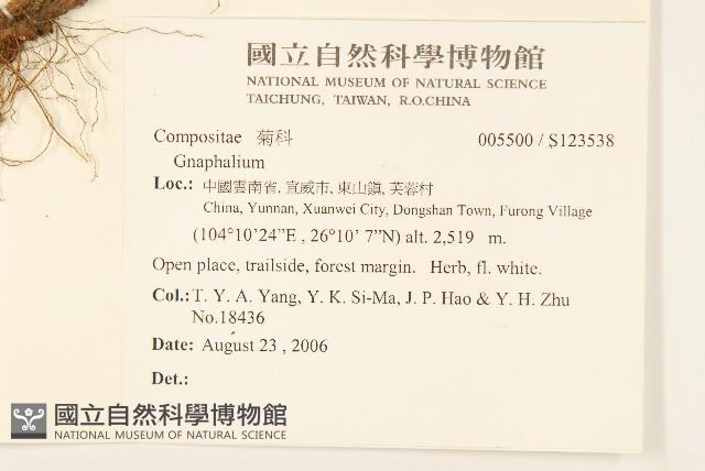 登錄號:S123538藏品圖，第2張