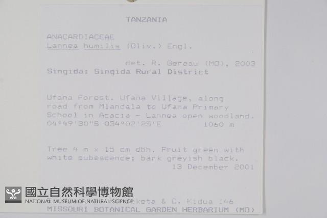 登錄號:S093538藏品圖，第2張