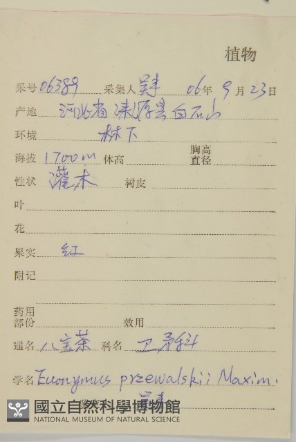 八寶茶藏品圖，第2張