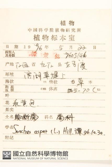 小果菝契藏品圖，第2張