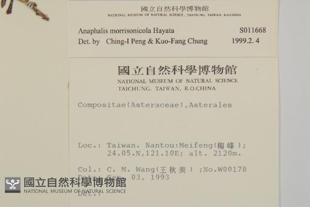 玉山抱莖籟簫藏品圖，第2張