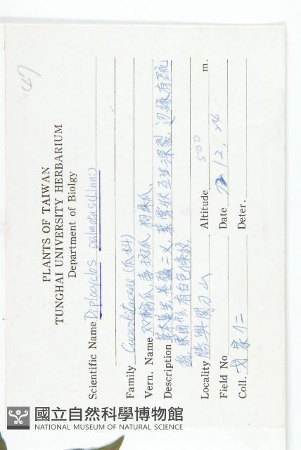 雙輪瓜藏品圖，第2張