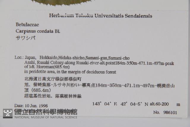 Accession Number:S074668 Collection Image, Figure 2, Total 2 Figures