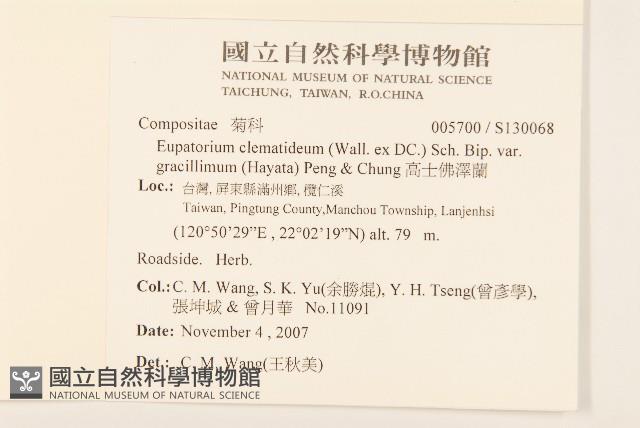 高士佛澤蘭藏品圖，第2張