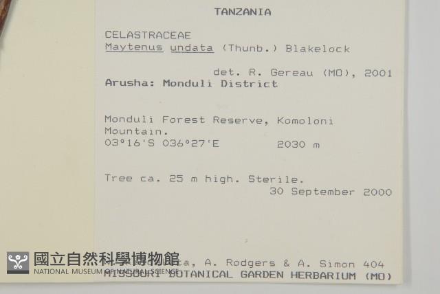 登錄號:S101068藏品圖，第2張