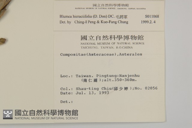 毛將軍藏品圖，第2張