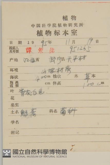 魁蒿藏品圖，第2張