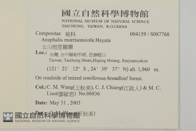 玉山抱莖籟簫藏品圖，第2張