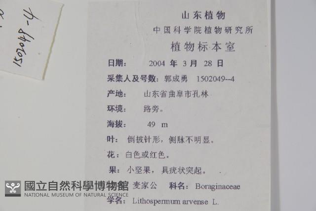 麥家公藏品圖，第2張