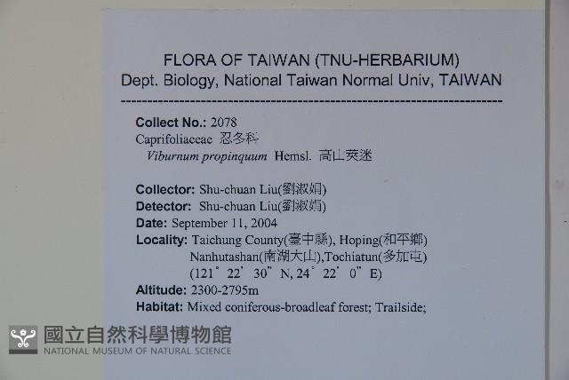 高山莢迷藏品圖，第2張