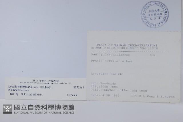 普刺特草藏品圖，第2張